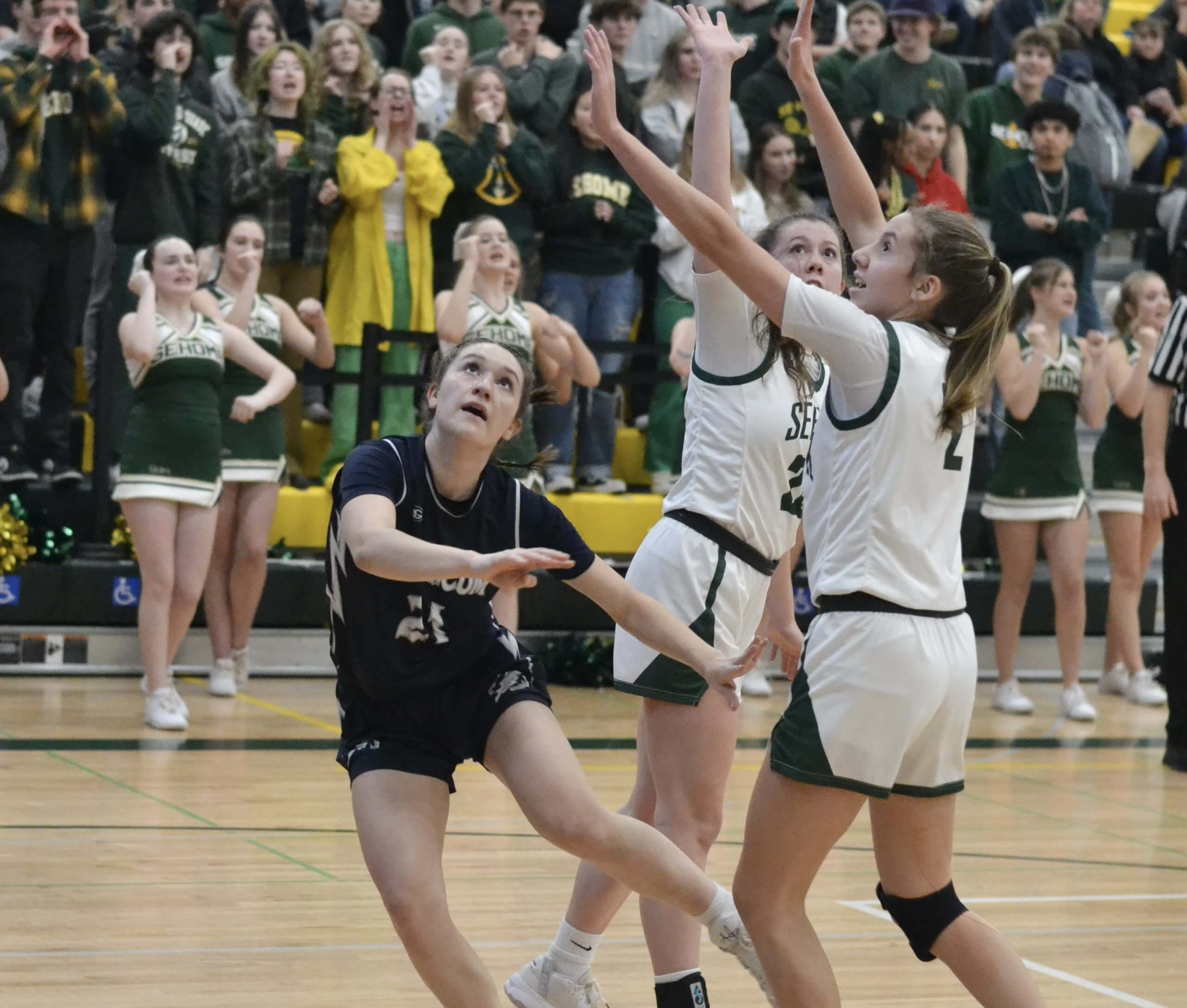 Whatcom Hoops February-11-2023