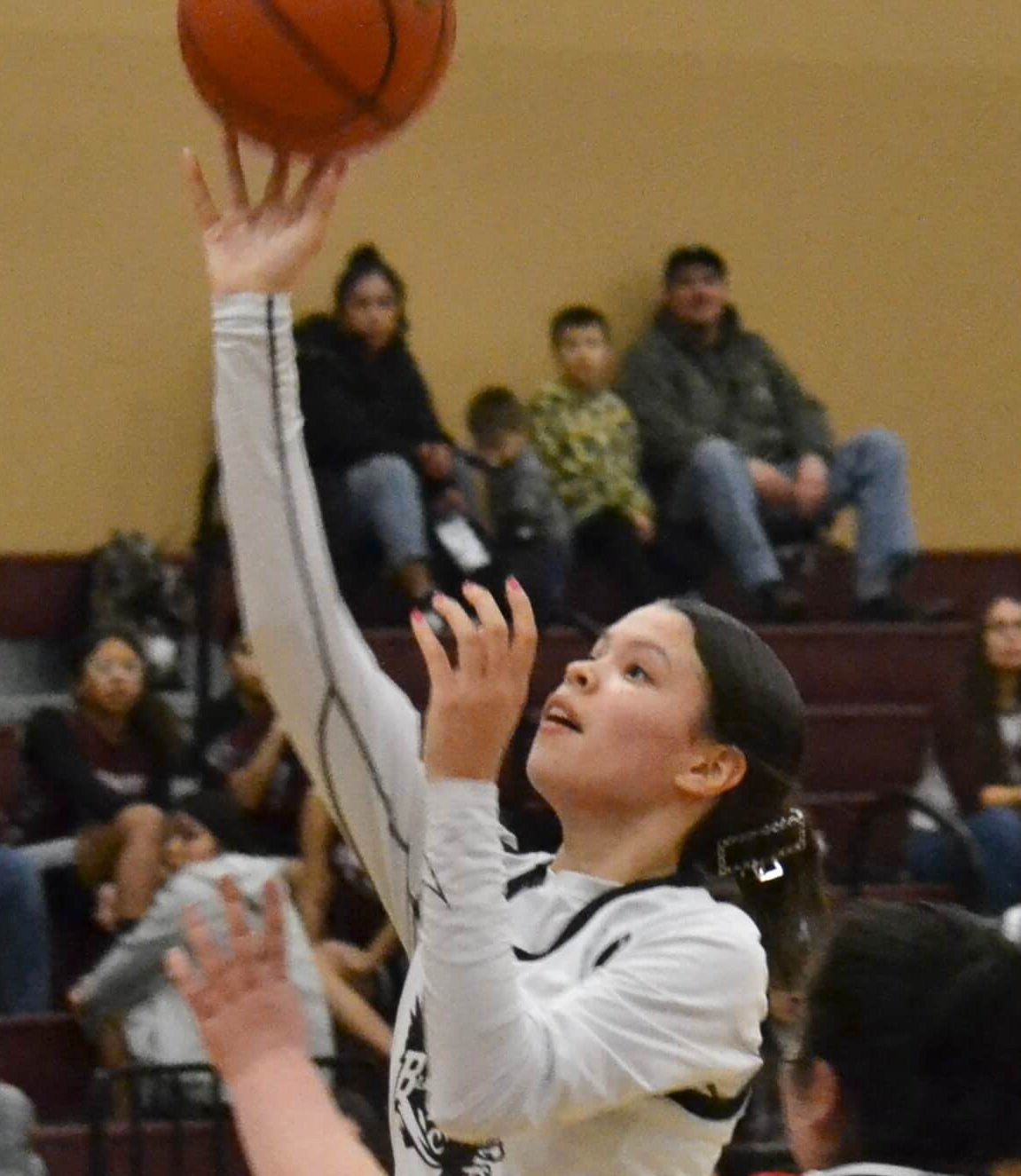 Whatcom Hoops March-17-2023