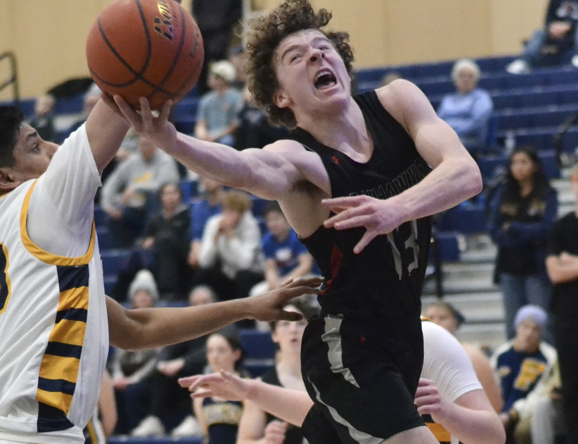 Whatcom Hoops March-23-2023