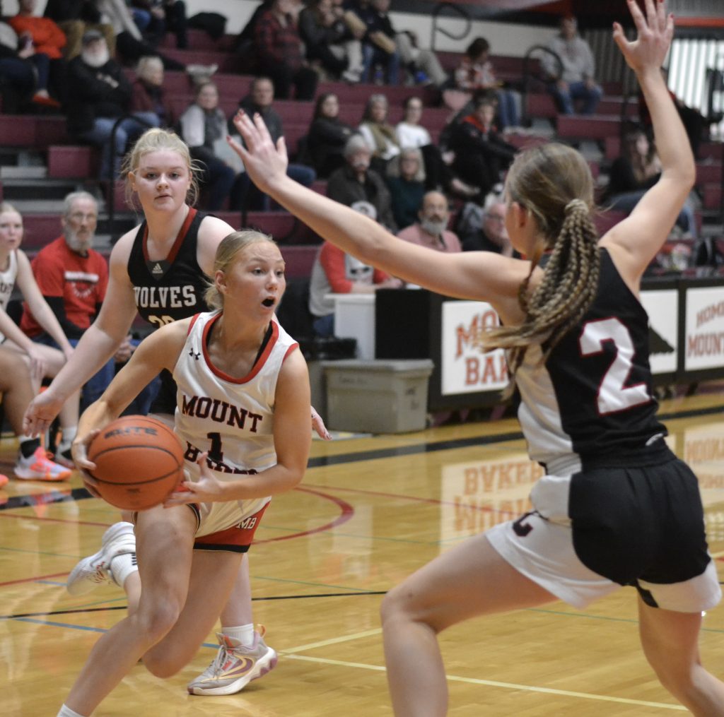 Whatcom Hoops November-28-2023