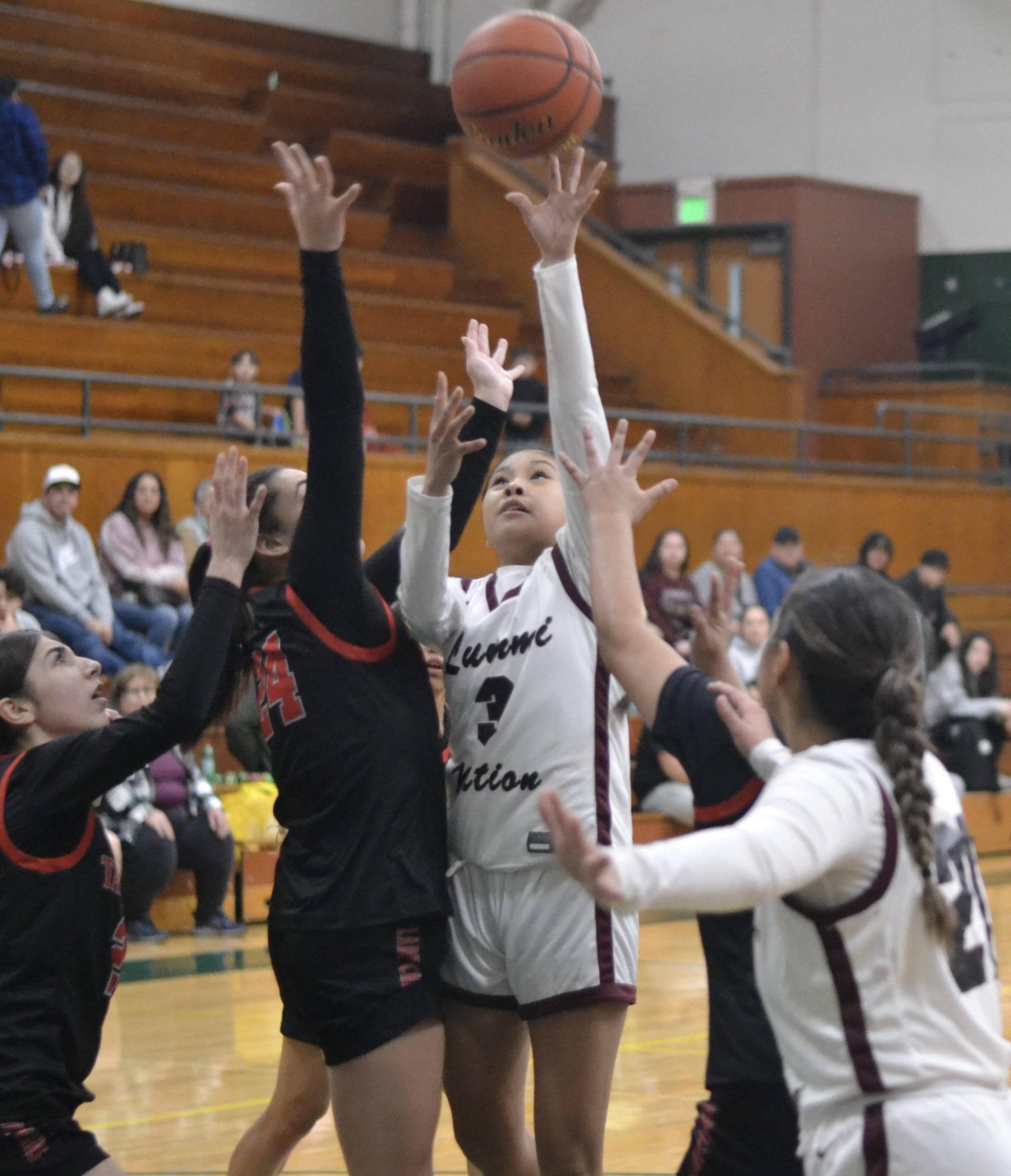 Whatcom Hoops February-25-2024