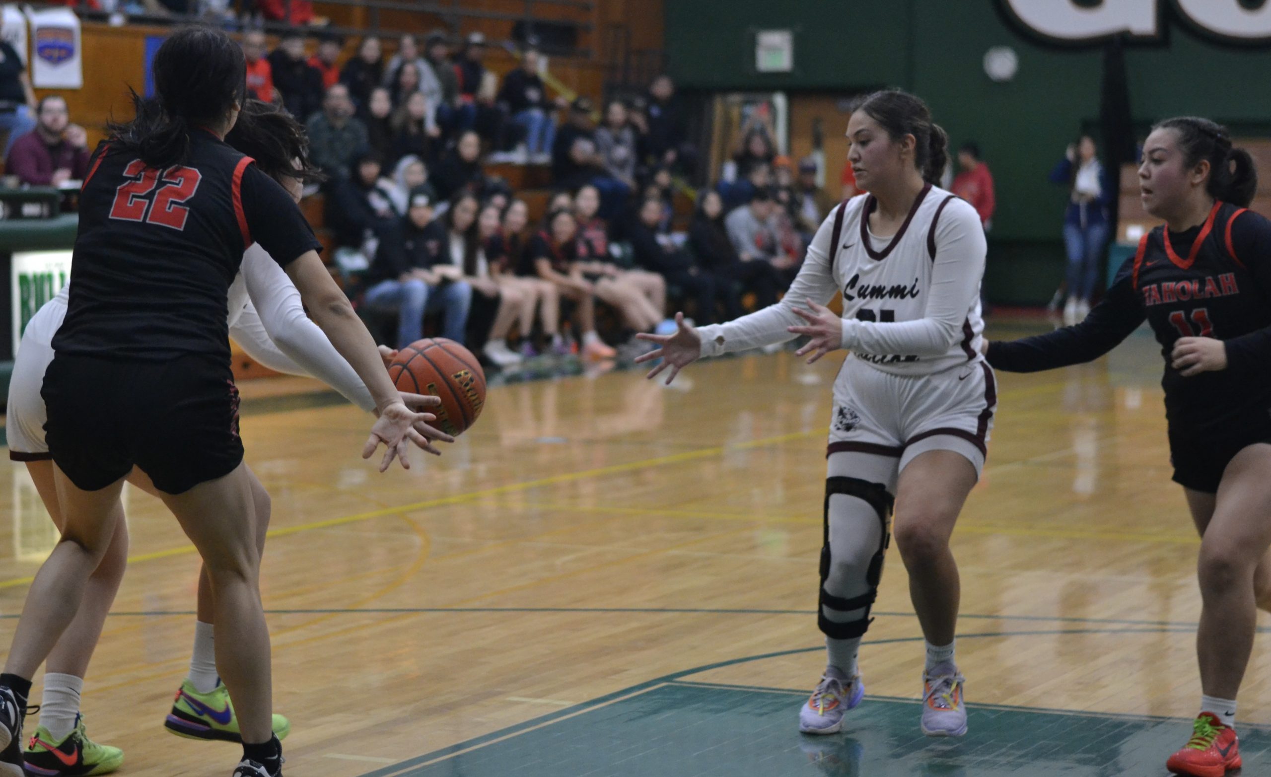 Whatcom Hoops February-25-2024
