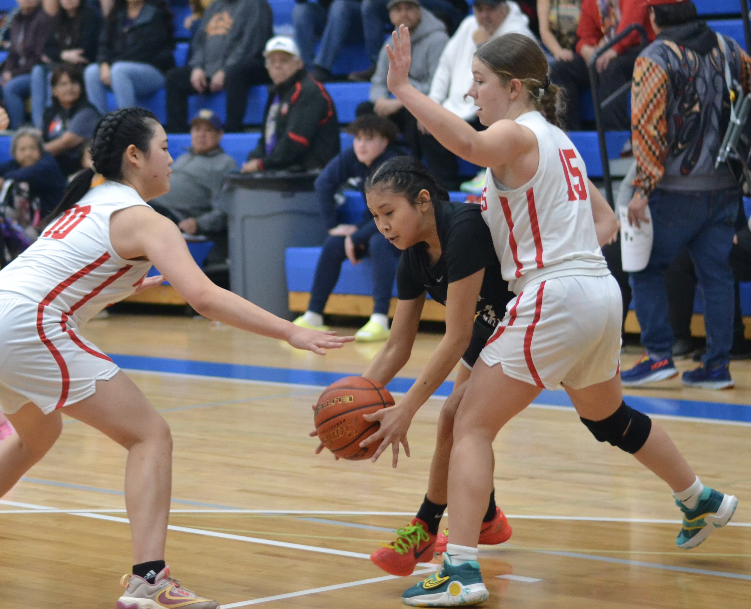 Whatcom Hoops February-18-2024