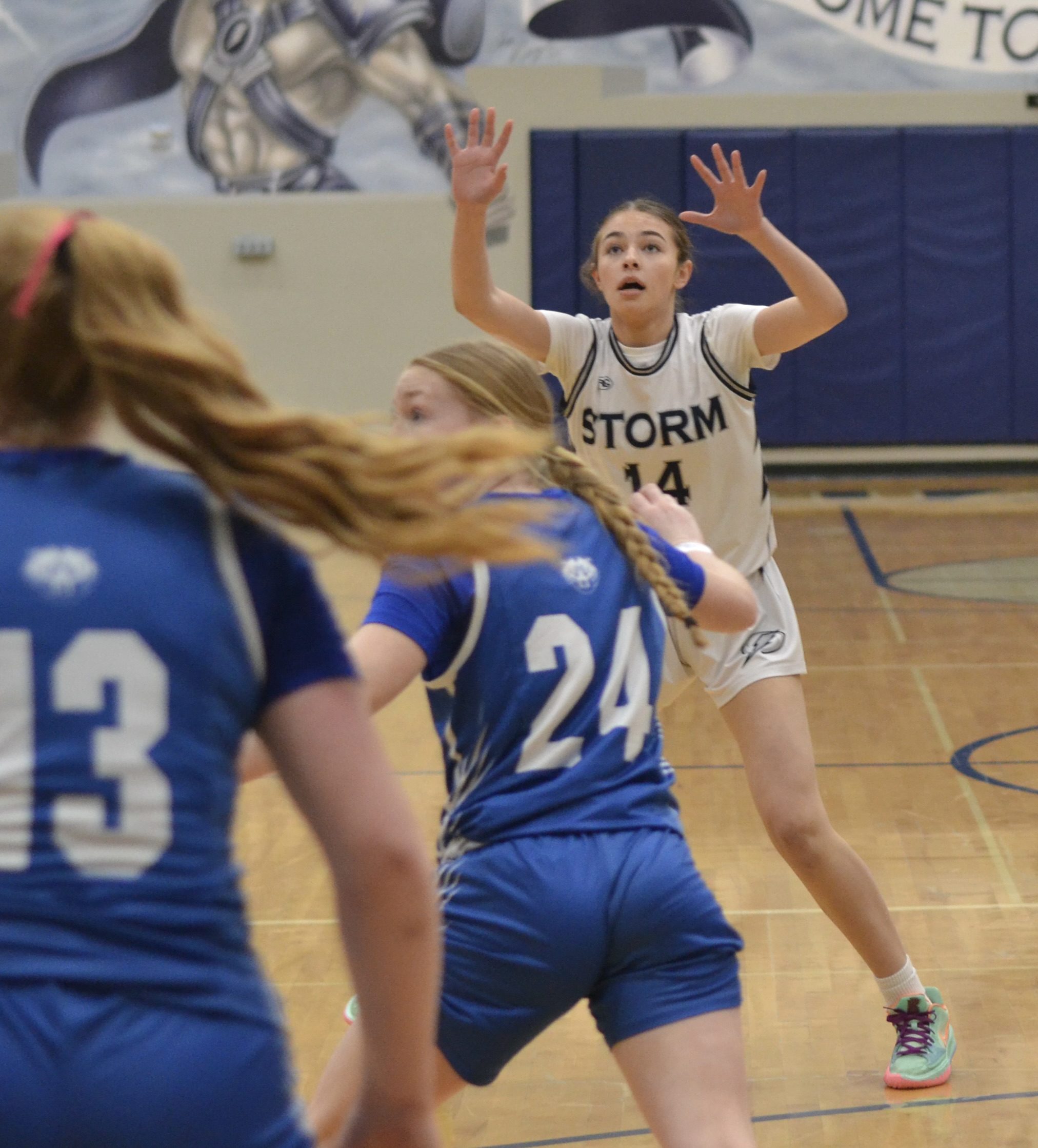 Whatcom Hoops February-11-2024