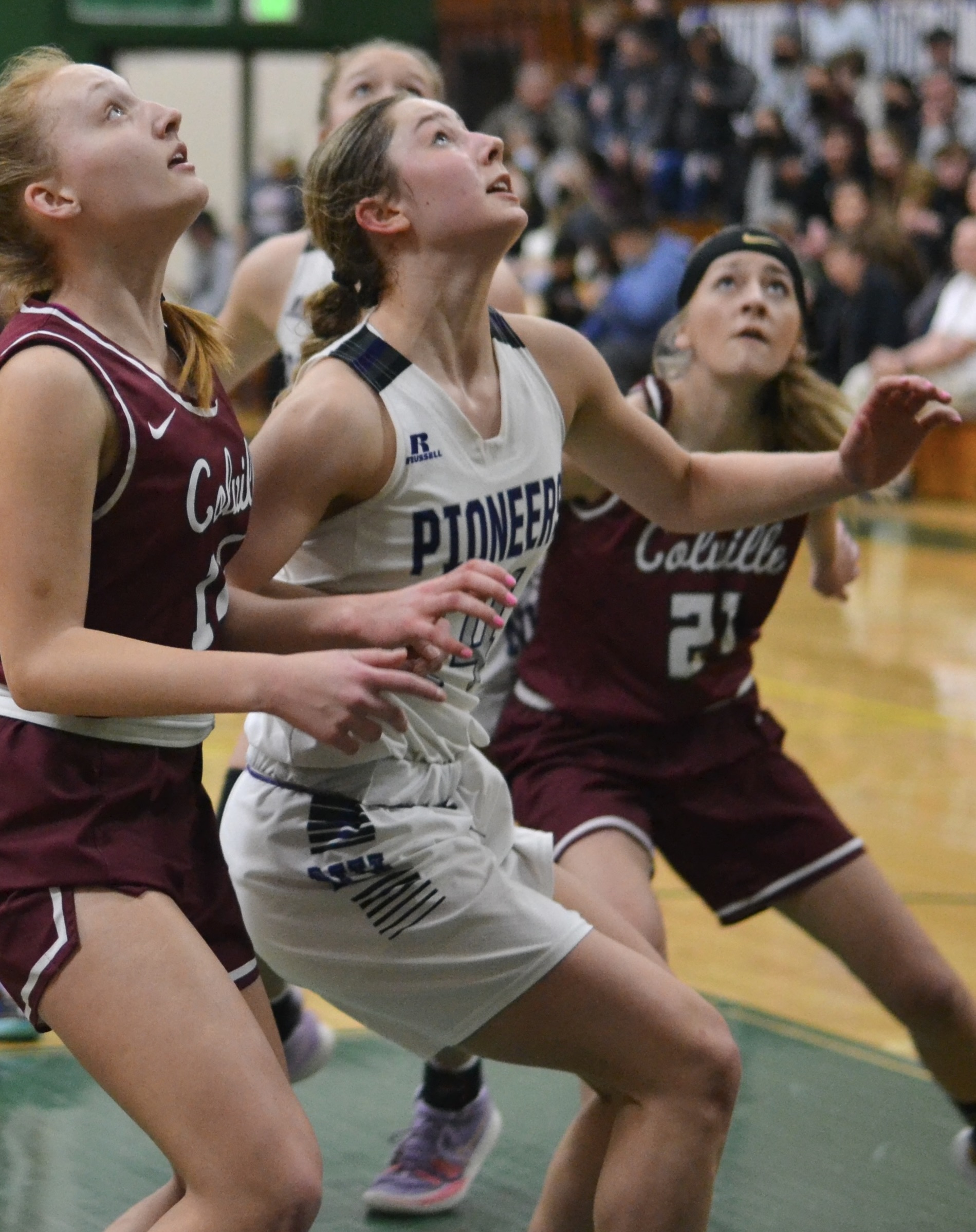 Whatcom Hoops February-19-2024