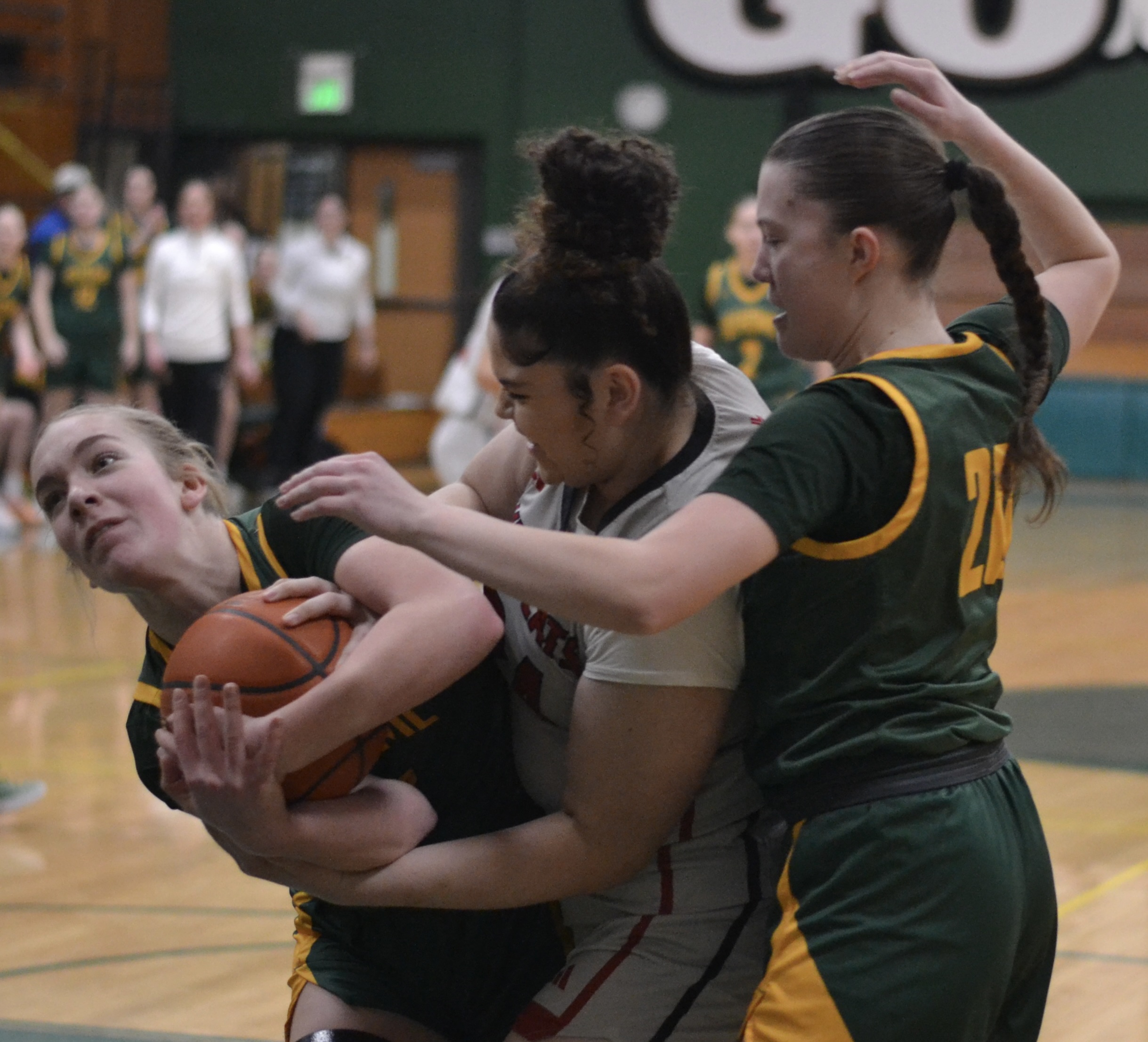 Whatcom Hoops February-18-2024