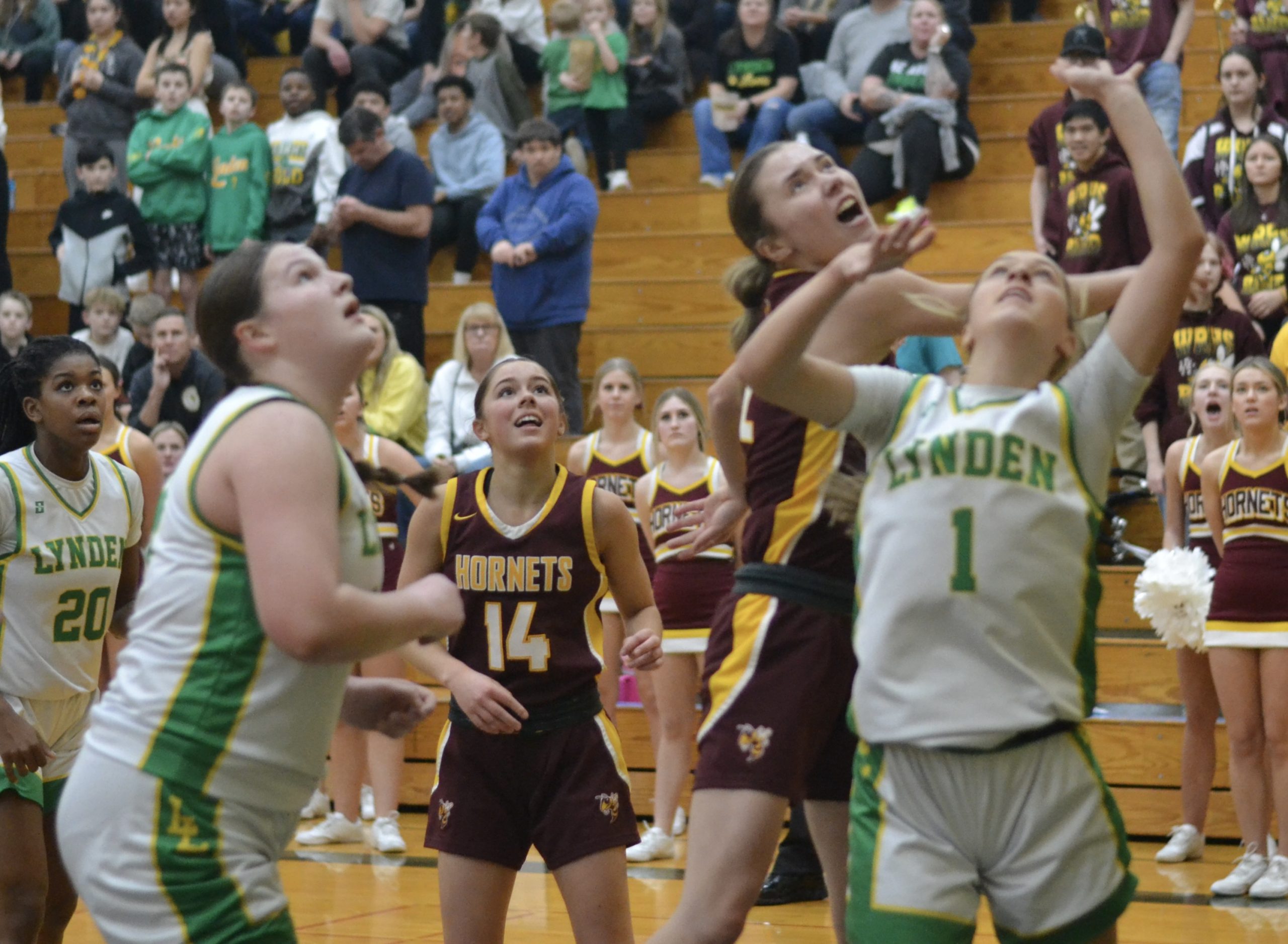 Whatcom Hoops February-26-2024
