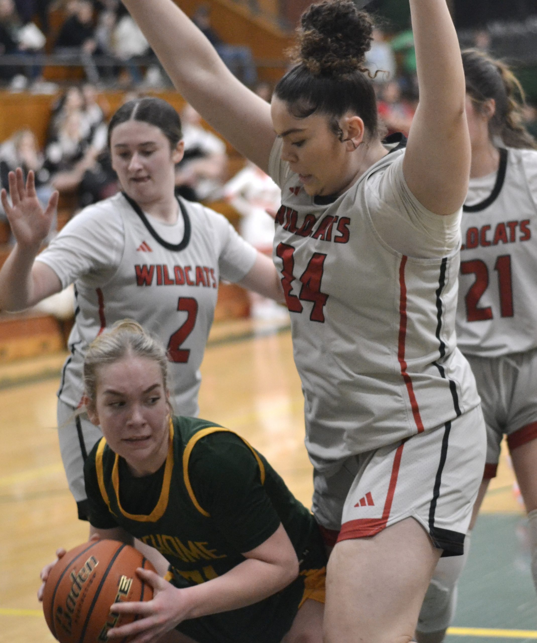 Whatcom Hoops February-18-2024