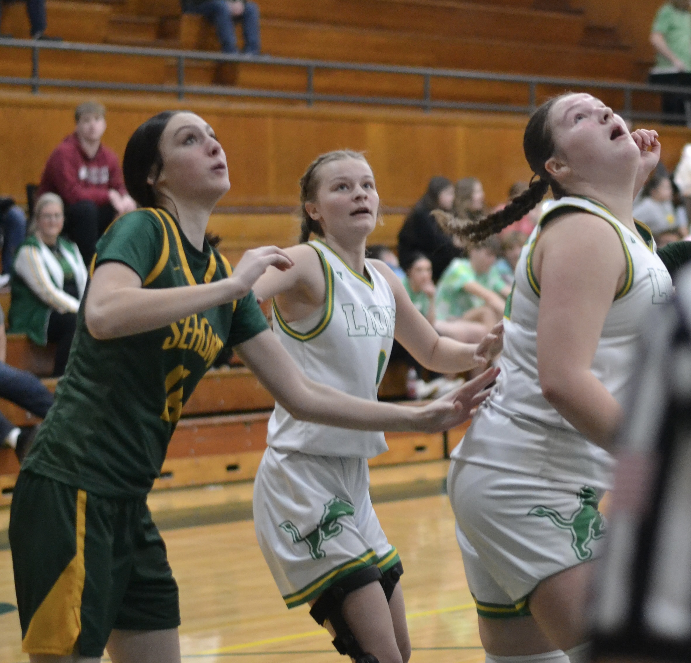 Whatcom Hoops February-11-2024