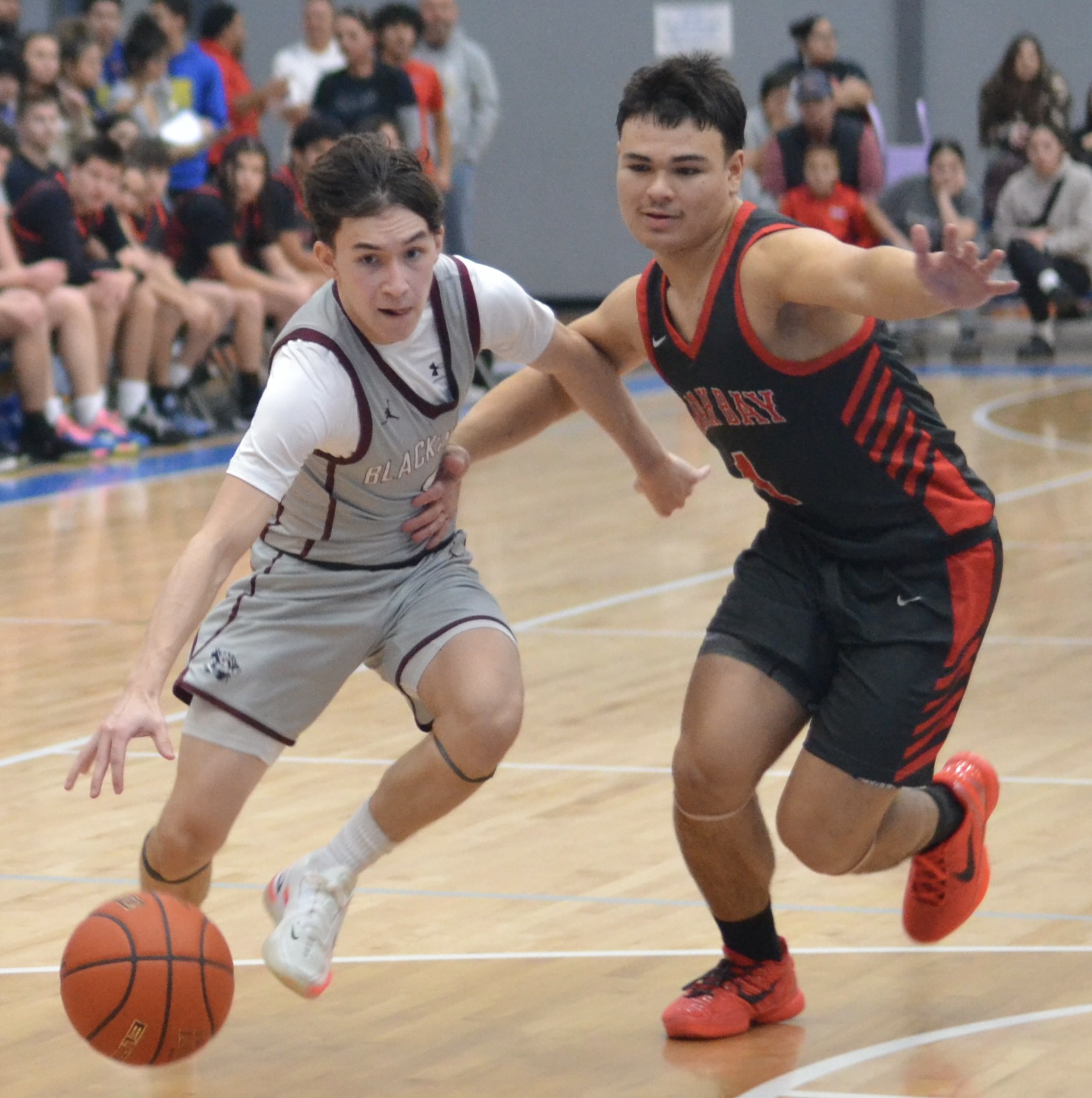 Whatcom Hoops February-18-2024