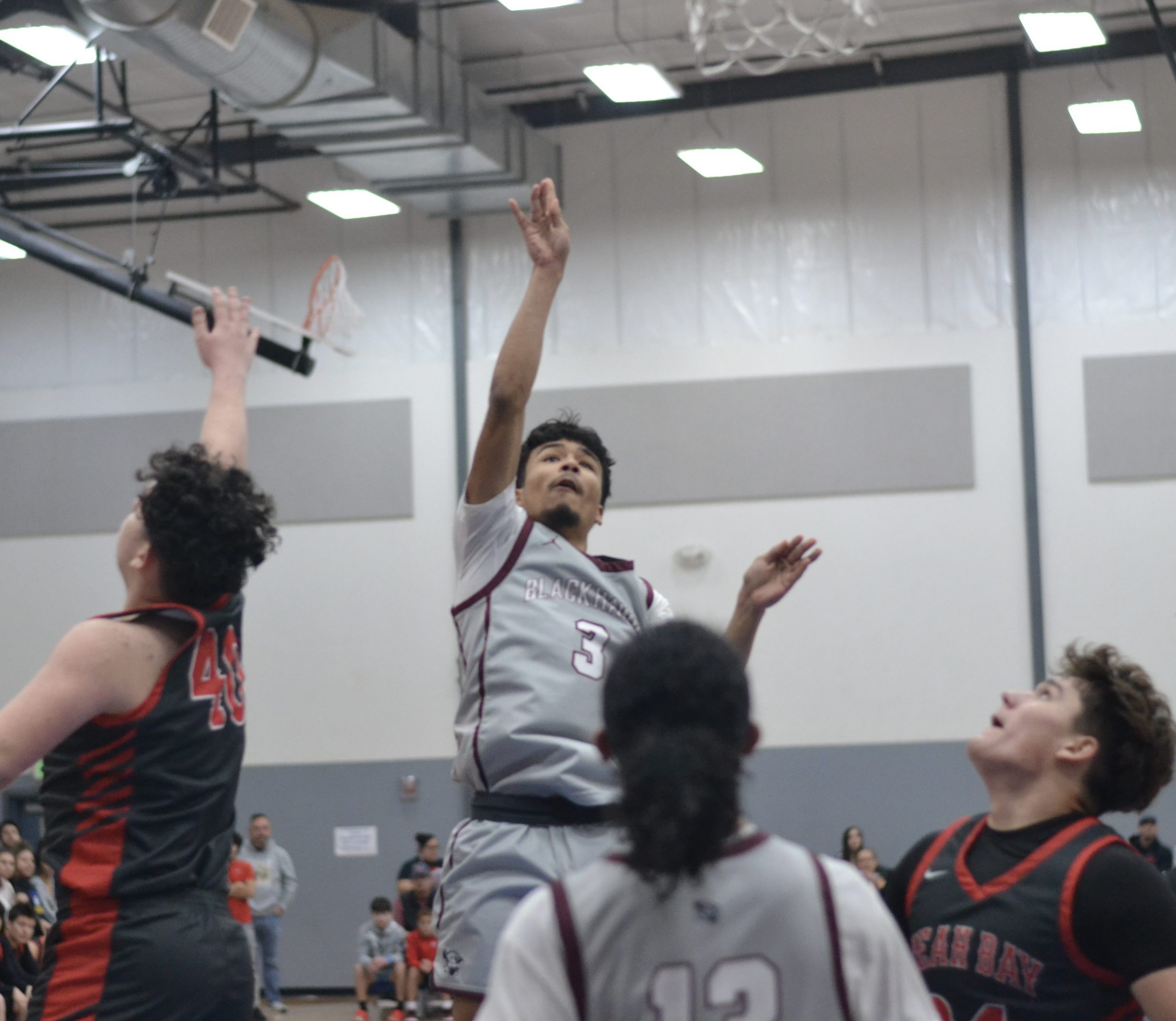 Whatcom Hoops February-18-2024