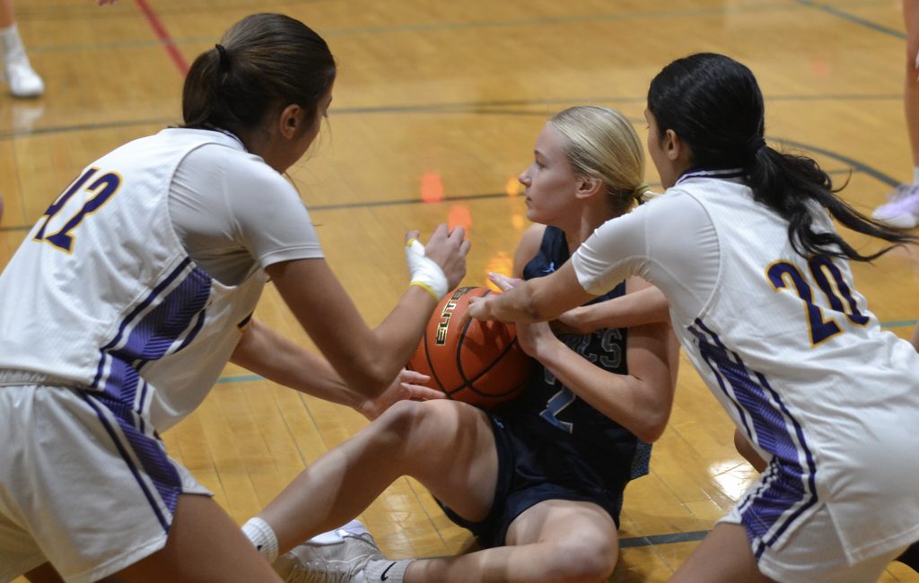 Whatcom Hoops December-29-2024
