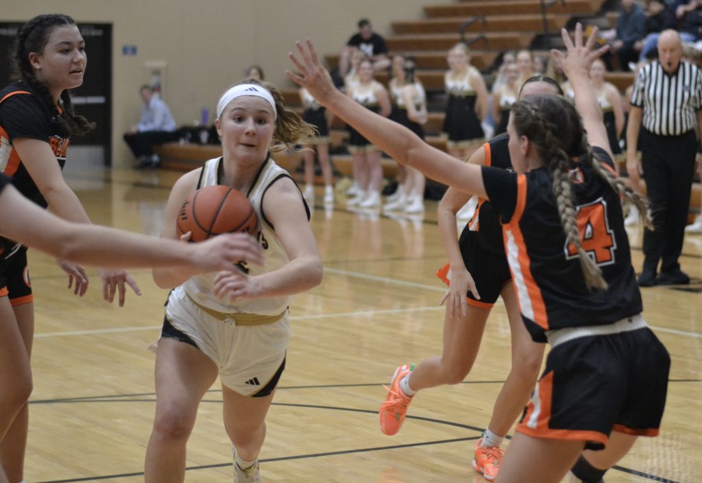 Whatcom Hoops December-21-2024