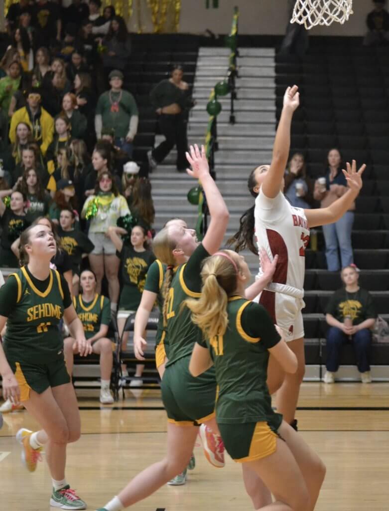 Whatcom Hoops January-31-2025