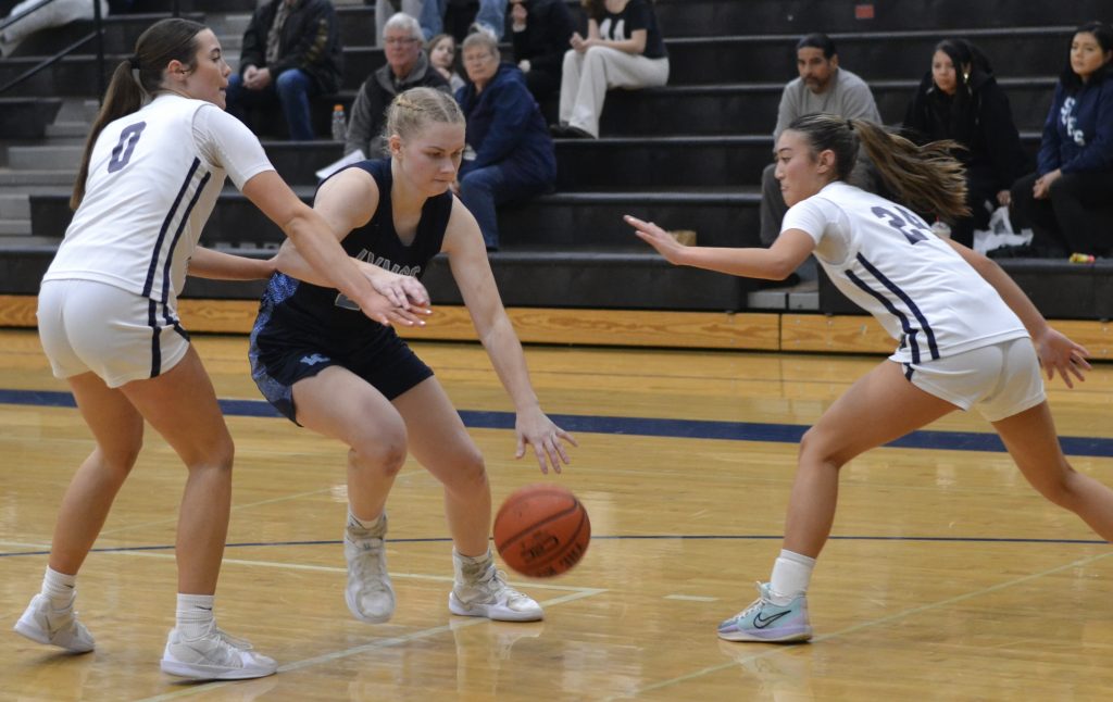 Whatcom Hoops January-19-2025