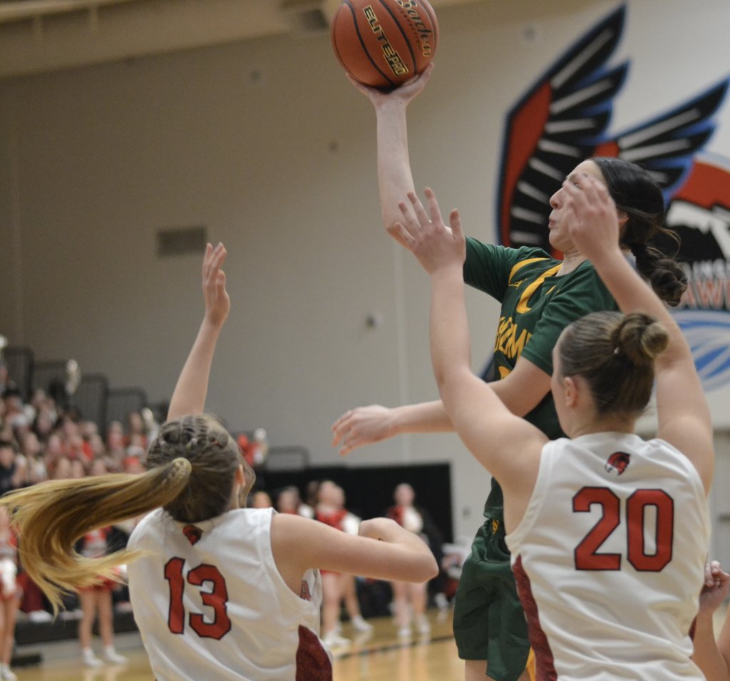 Whatcom Hoops January-31-2025