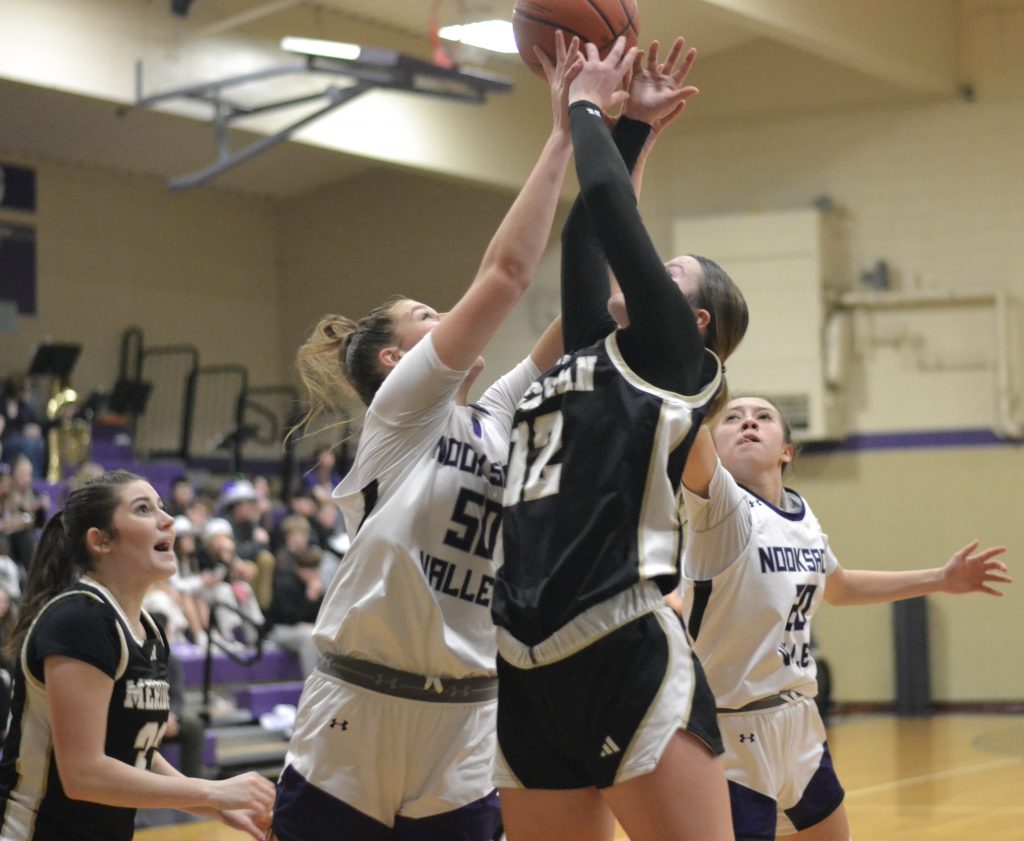 Whatcom Hoops January-14-2025