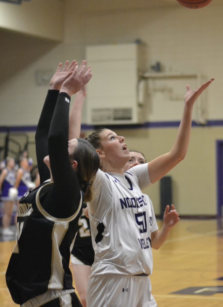 Whatcom Hoops January-14-2025