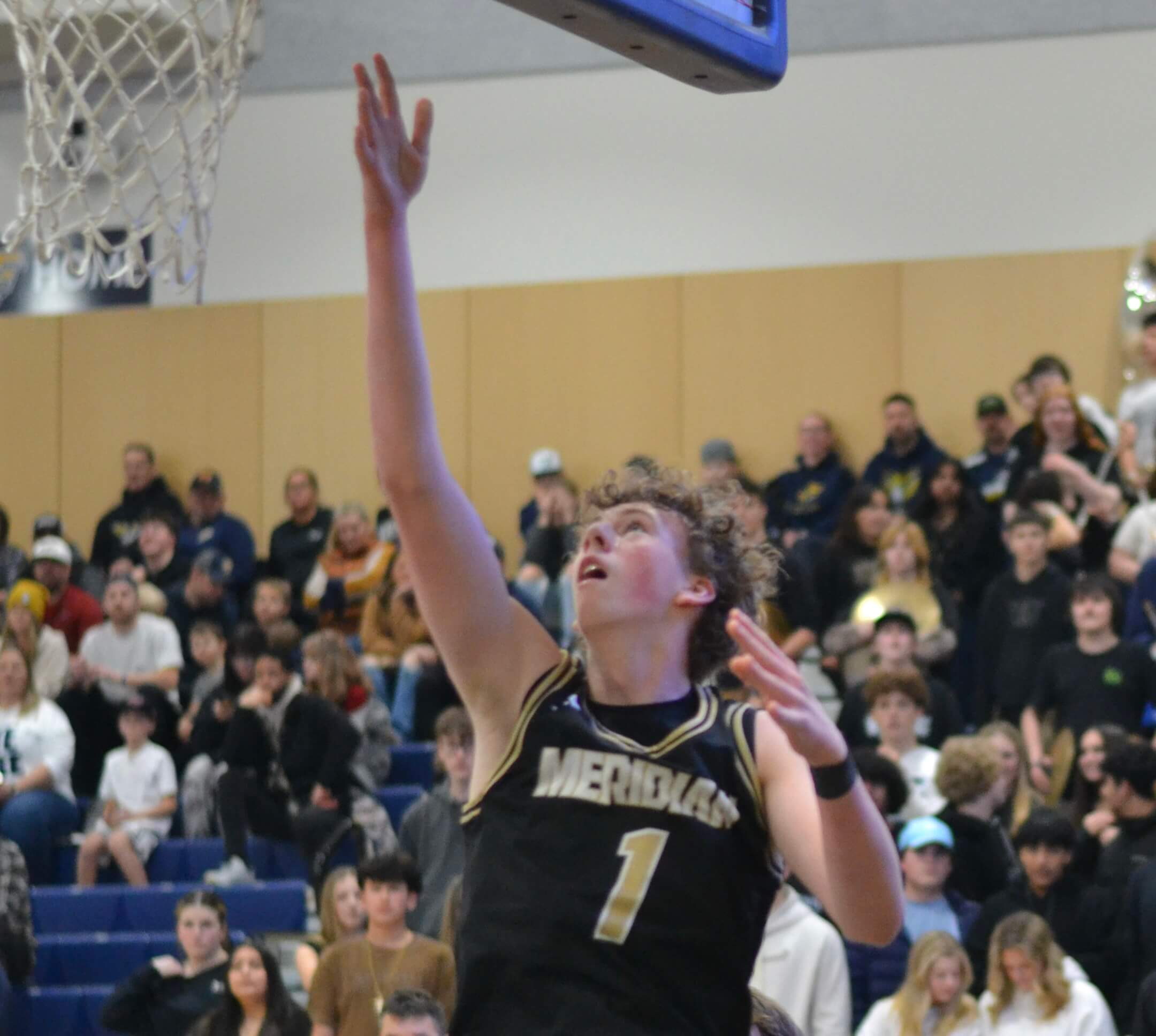 Whatcom Hoops March-1-2025