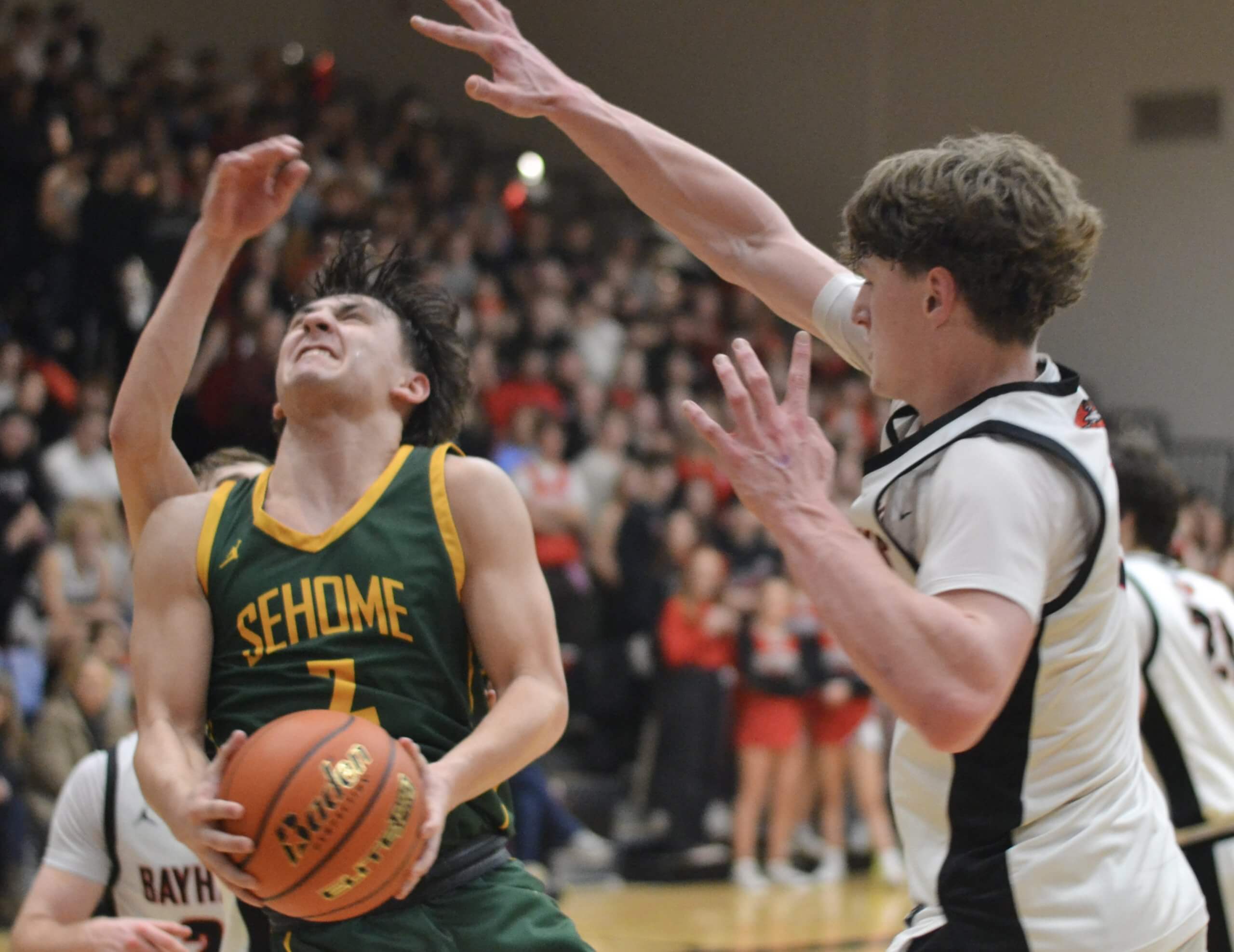 Whatcom Hoops November-24-2025