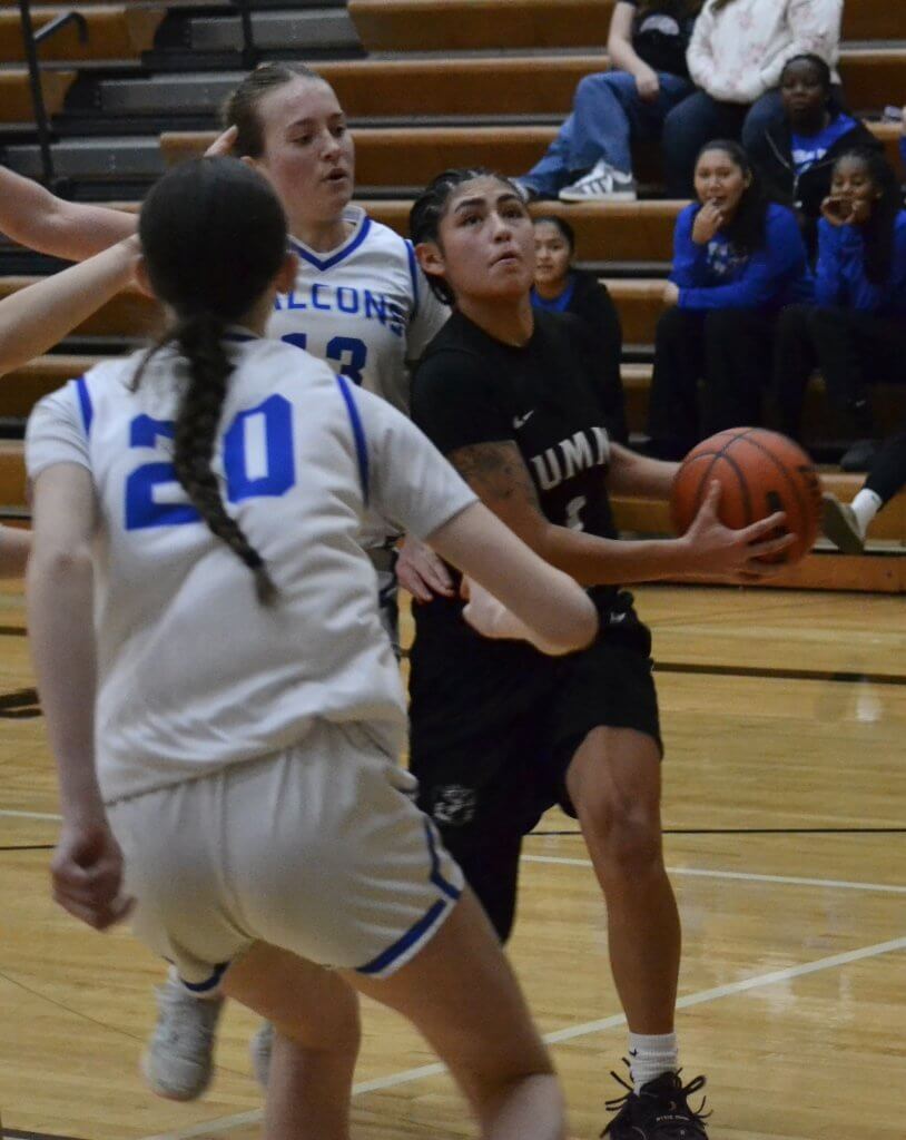 Whatcom Hoops December-30-2025