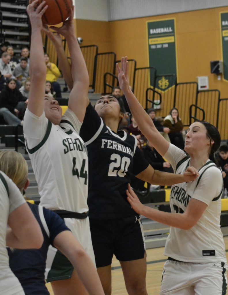 Whatcom Hoops December-3-2025