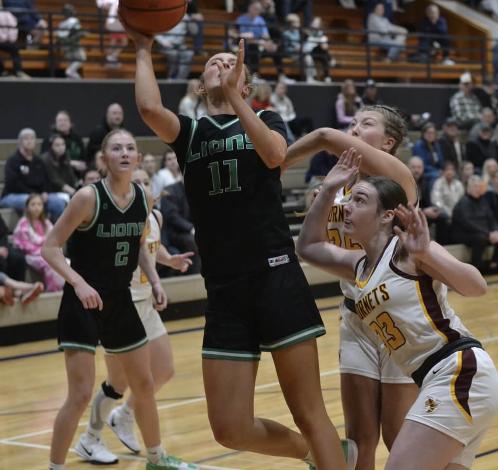 Whatcom Hoops December-31-2025