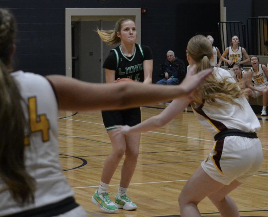 Whatcom Hoops December-31-2025