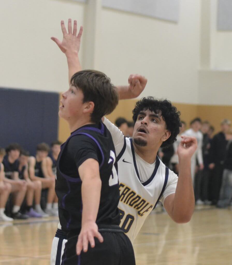 Whatcom Hoops December-10-2025