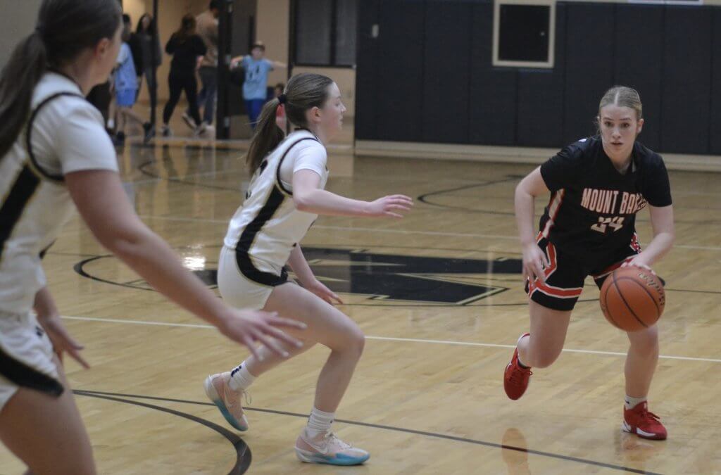 Whatcom Hoops January-4-2026