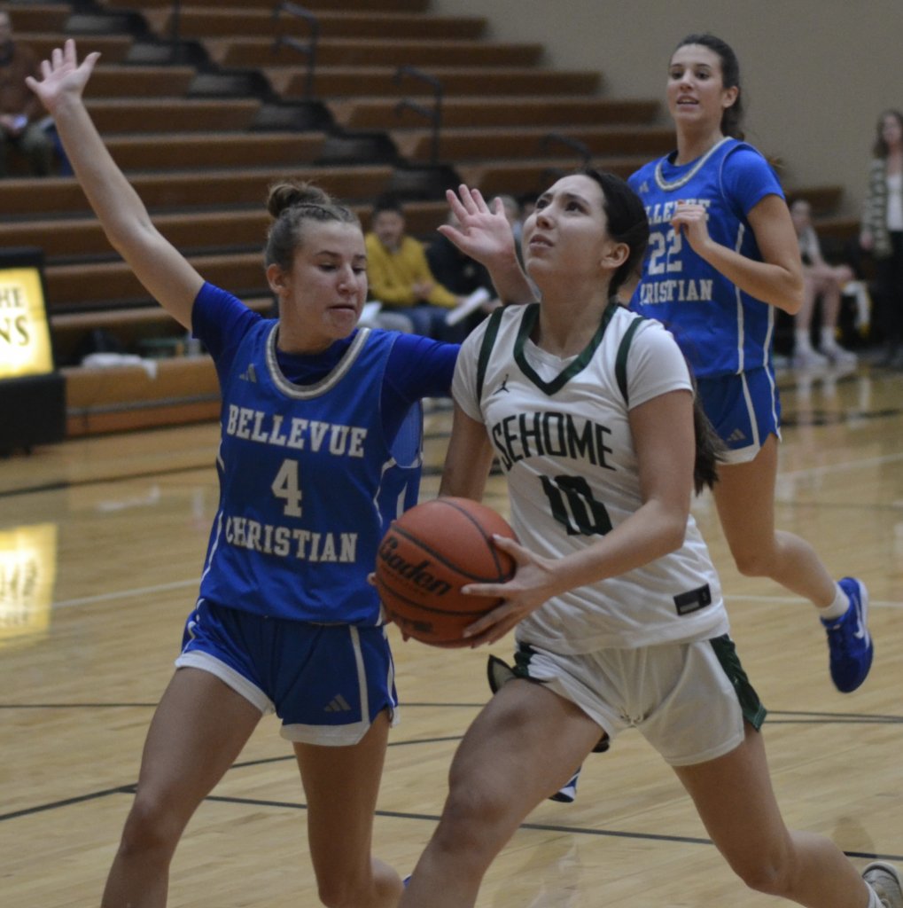 Whatcom Hoops January-1-2026