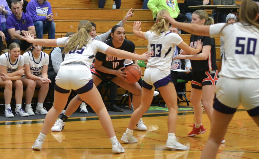 Whatcom Hoops February-22-2026