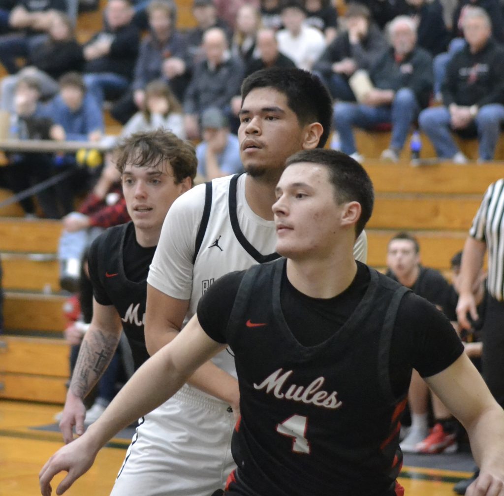 Whatcom Hoops March-1-2026