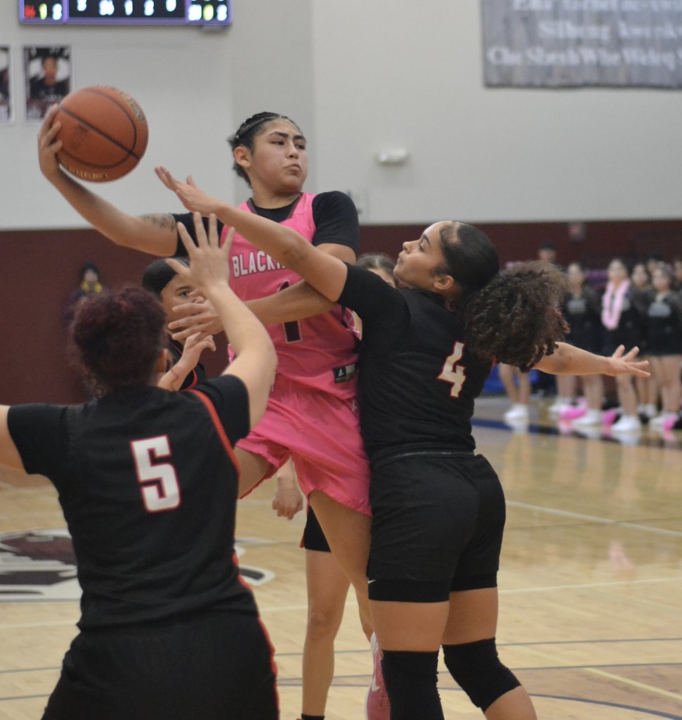 Whatcom Hoops February-4-2026