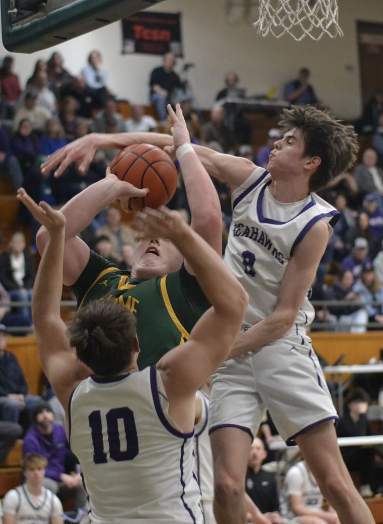 Whatcom Hoops February-14-2026