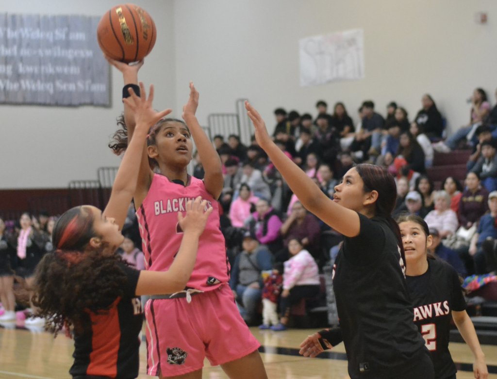 Whatcom Hoops February-4-2026