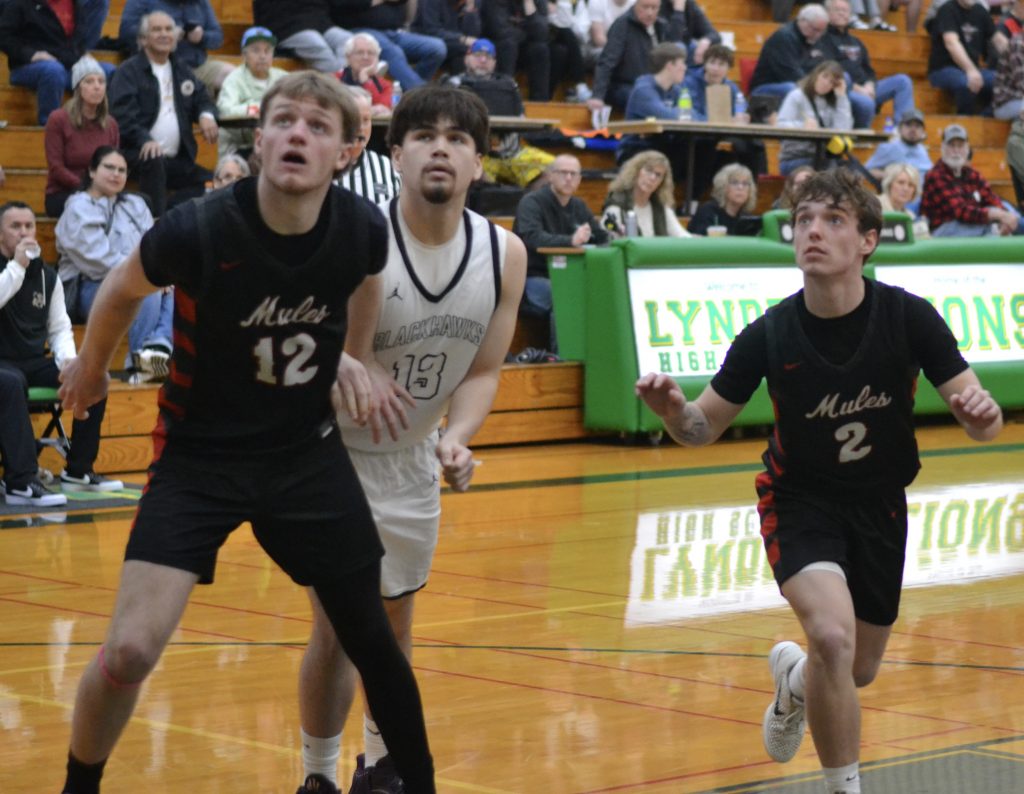 Whatcom Hoops March-1-2026