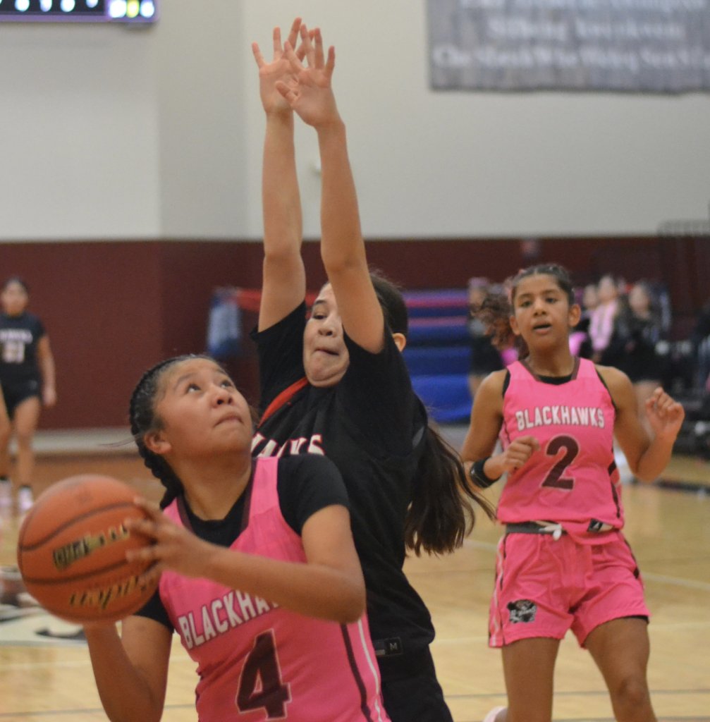 Whatcom Hoops February-4-2026