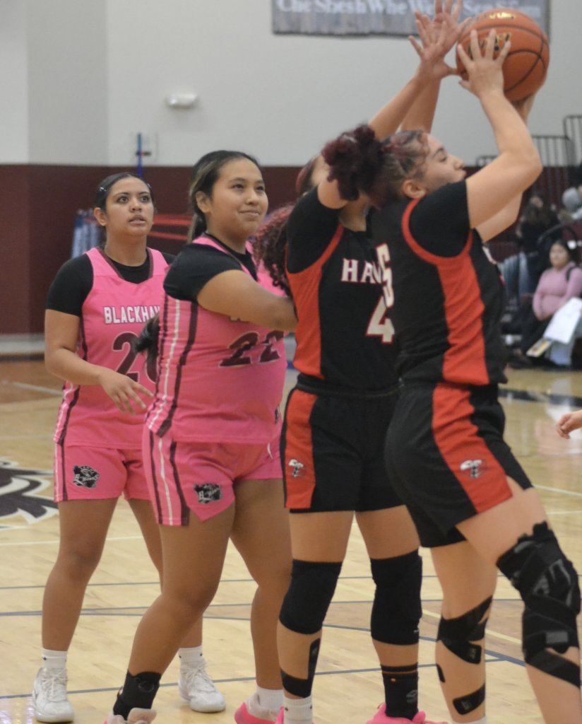 Whatcom Hoops February-4-2026