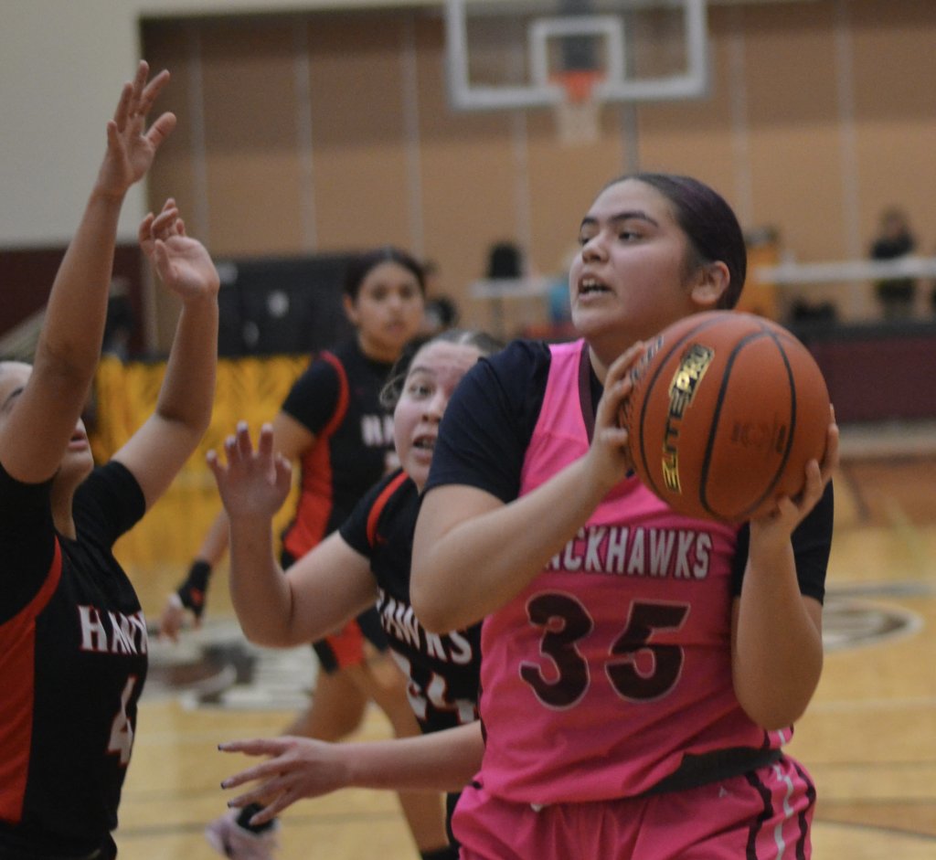 Whatcom Hoops February-4-2026