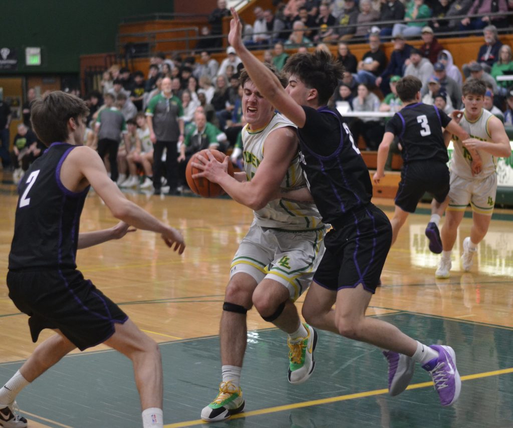 Whatcom Hoops February-20-2026