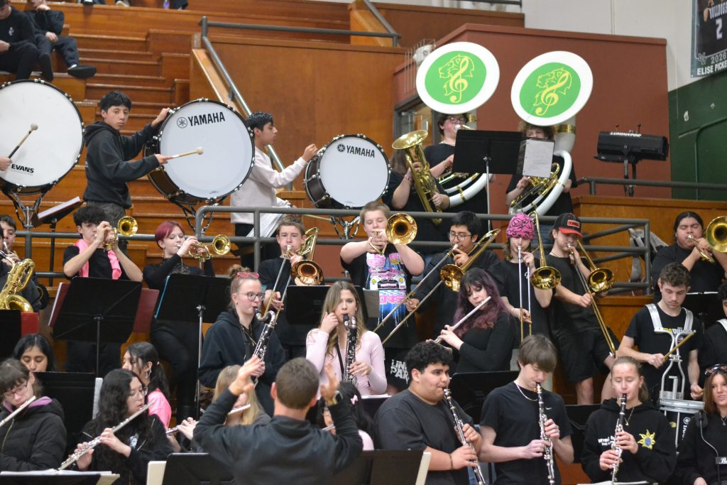 Whatcom Hoops February-14-2026