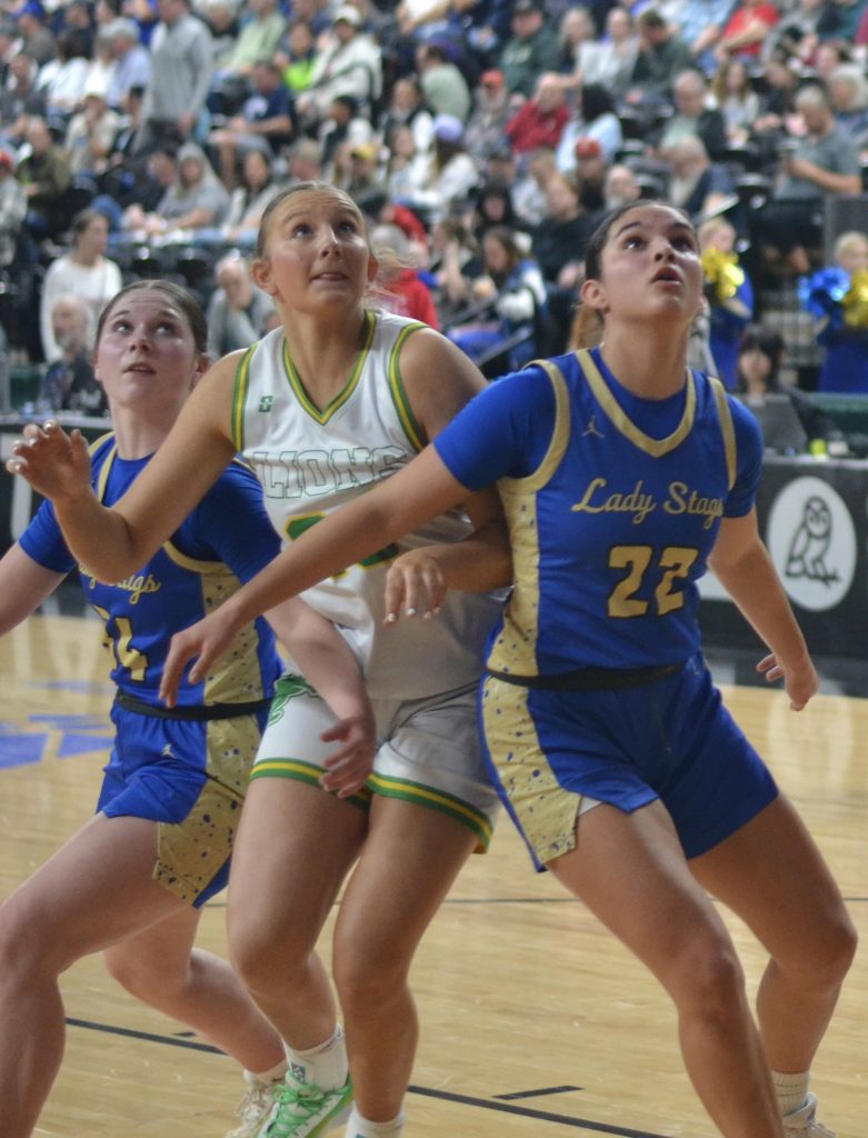 Whatcom Hoops March-6-2026