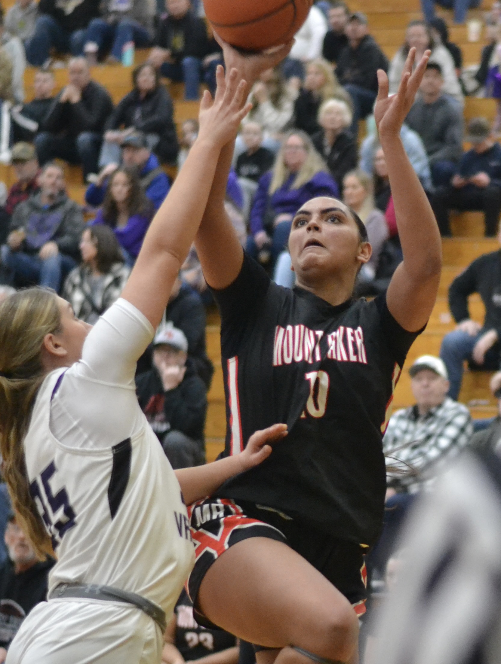 Whatcom Hoops April-18-2026