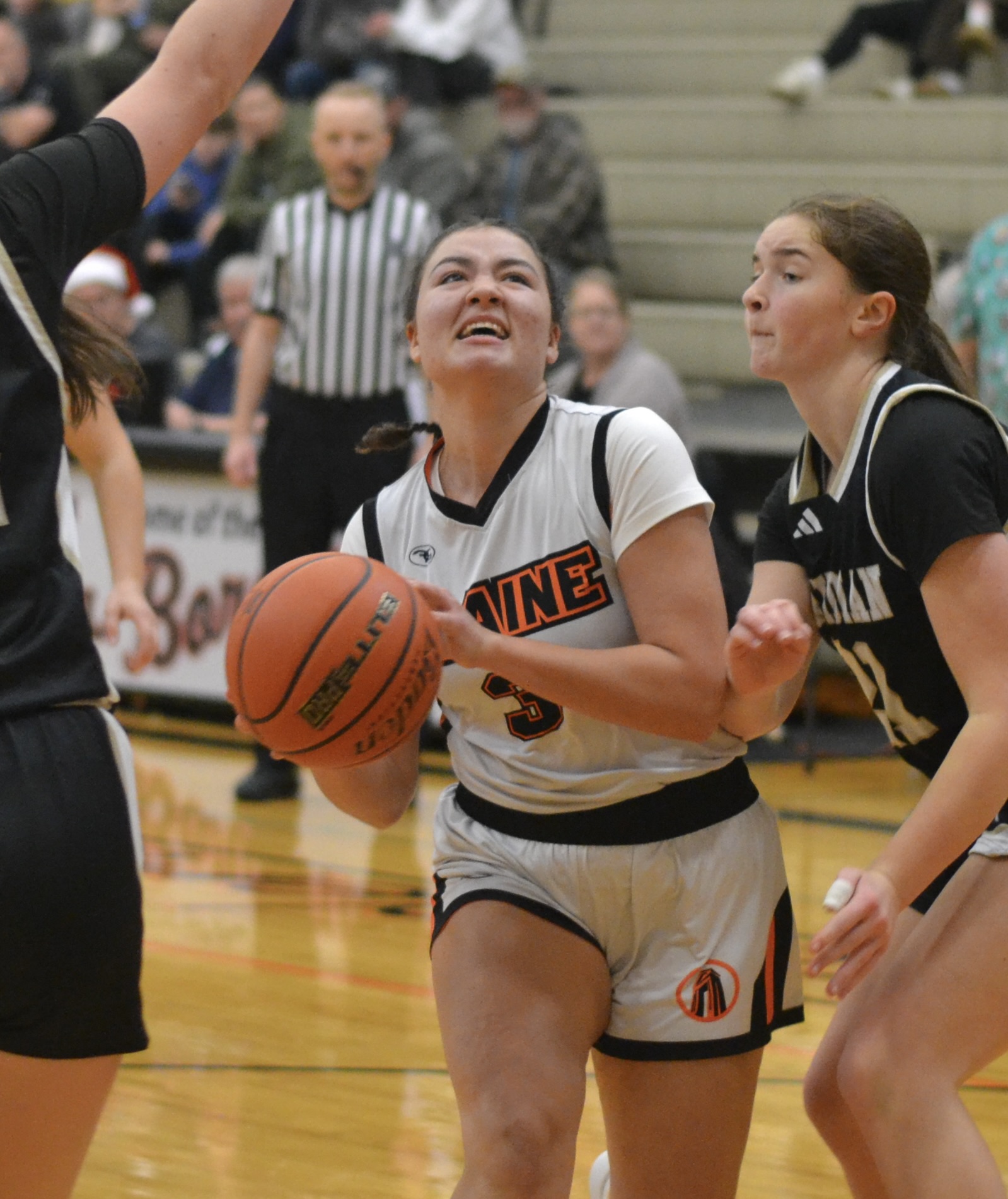 Whatcom Hoops April-7-2026