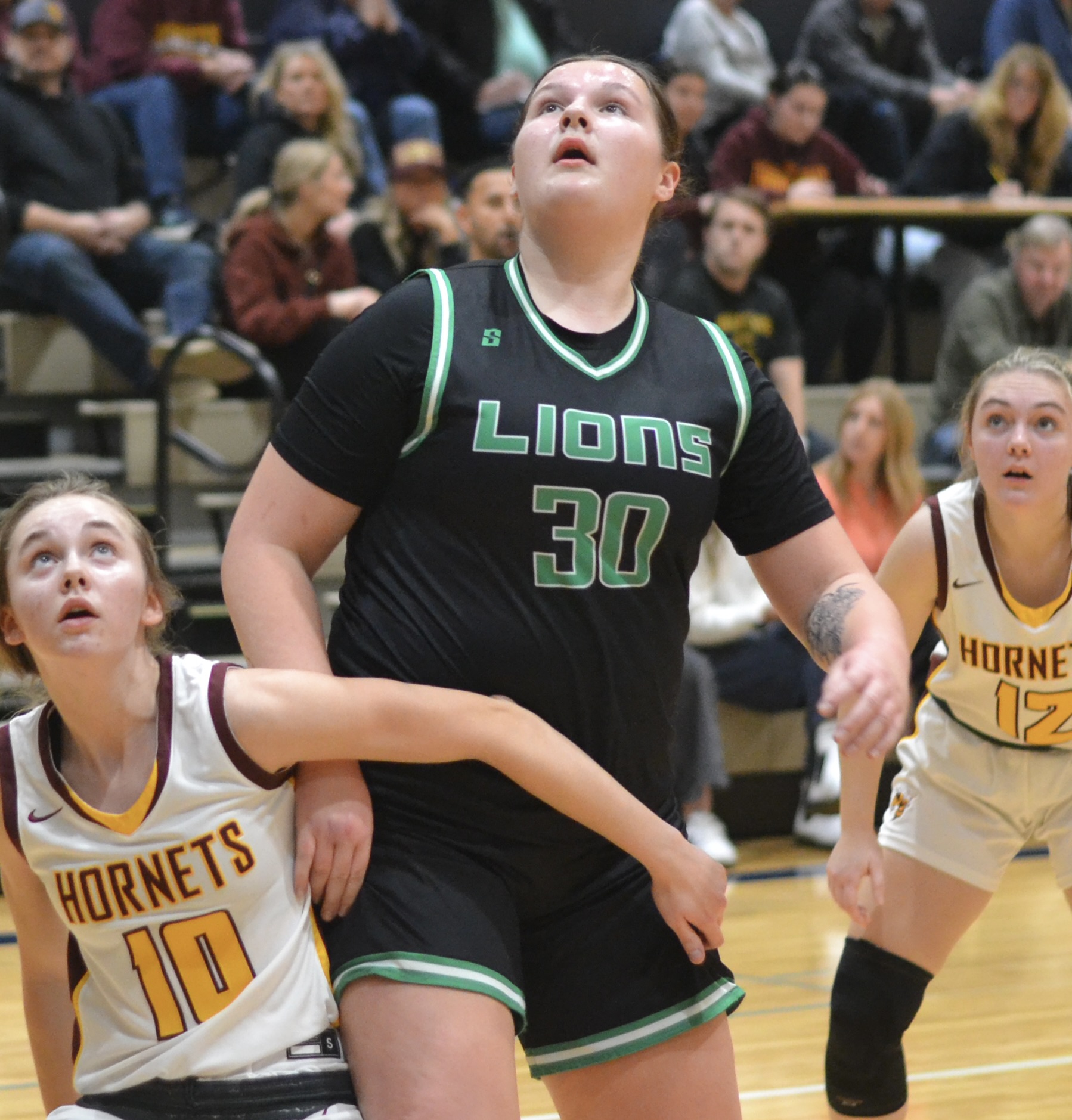 Whatcom Hoops April-19-2026