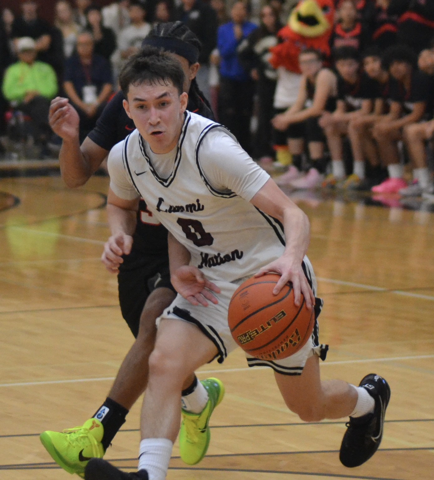 Whatcom Hoops April-19-2026